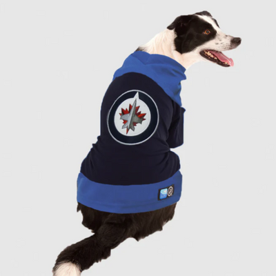 NHL Winnipeg Jets Dog Jersey