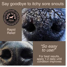 Born to Run Healing Nose Balm 60g