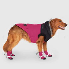 Canada Pooch True North Parka Pink