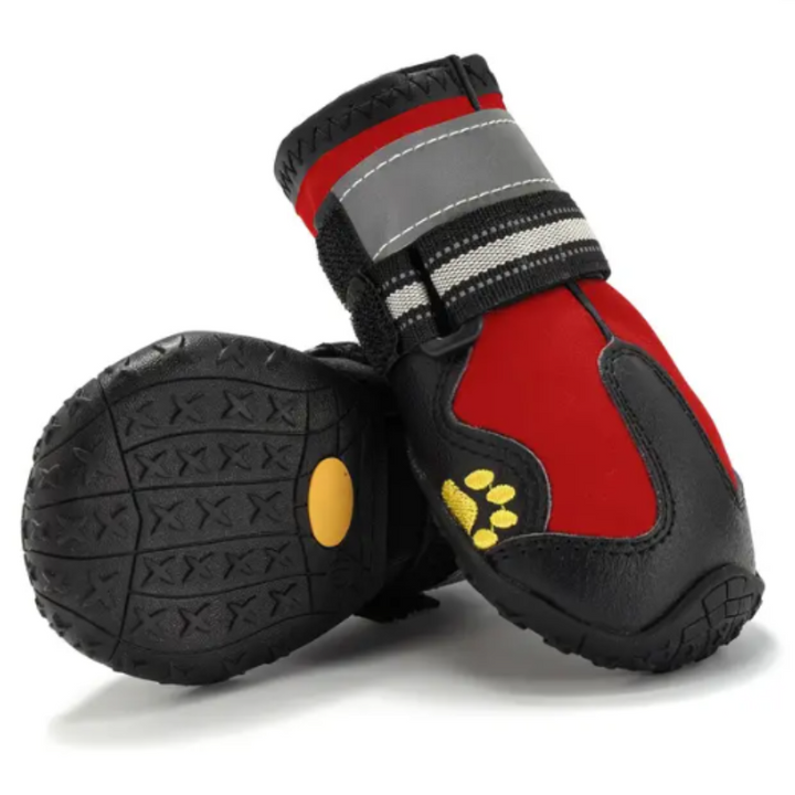 Paws waterproof 2025 dog boots