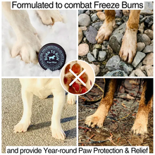 Born to Run Healing Paw Balm 60g