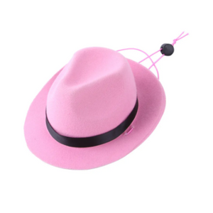 Cowboy Hat with Ribbon Band