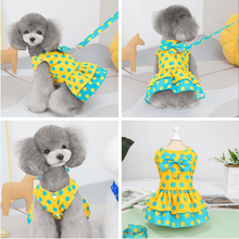 Polka Dot Dress Harness/Leash Set