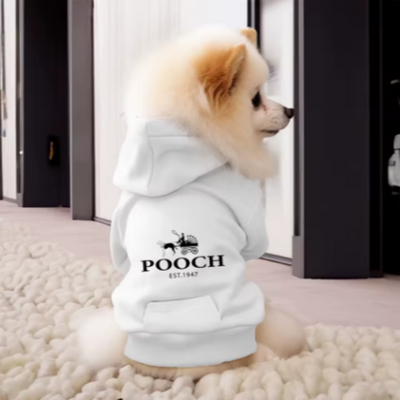 Pooch Fashion Hoodie
