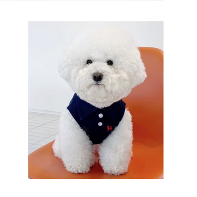 Poodle Sport Polo