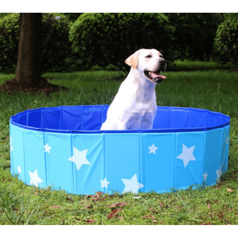 Foldable Dog Pool - Star Graphic Edmonton | Plush Dog Toy | Poochie ...
