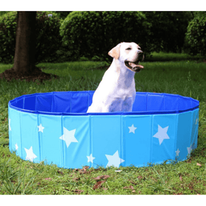 Foldable Dog Pool - Star Graphic