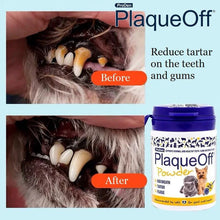 ProDen Plaque Off Dental Powder