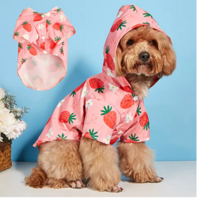 Strawberry Raincoat