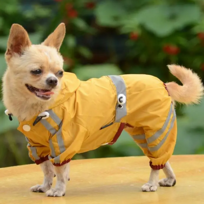Rainsuit for Dogs