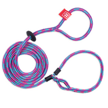 HarnessLead Leash - Gentle 'All in One' for No Pull/No Escape Walking