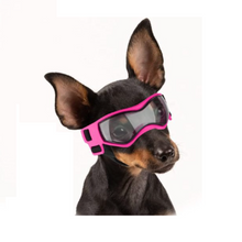 Sporty Goggles for Small Dog Breed