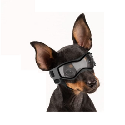 Sporty Goggles for Small Dog Breed