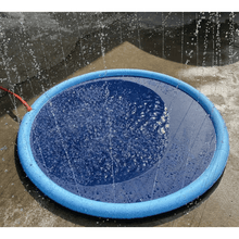 Dog Sprinkler Pool