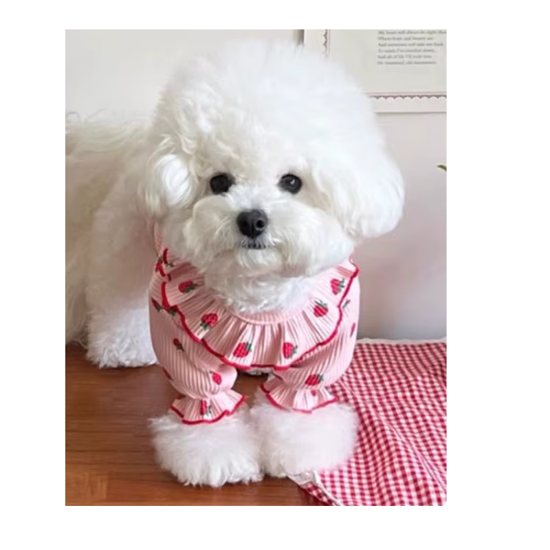 Strawberry Sweater