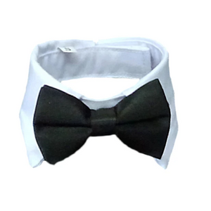 Bowtie with Collar