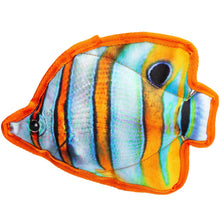 Dogline Tropical Fish