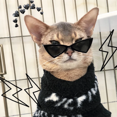 Geometric Sunglasses