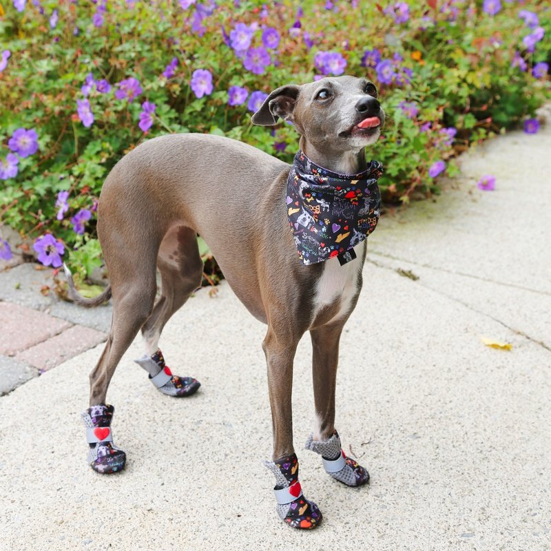 Poochy Pawz City Shoes Styles