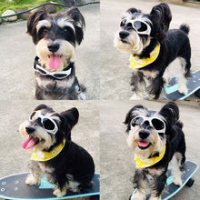 Goggles UV Protection for Dogs