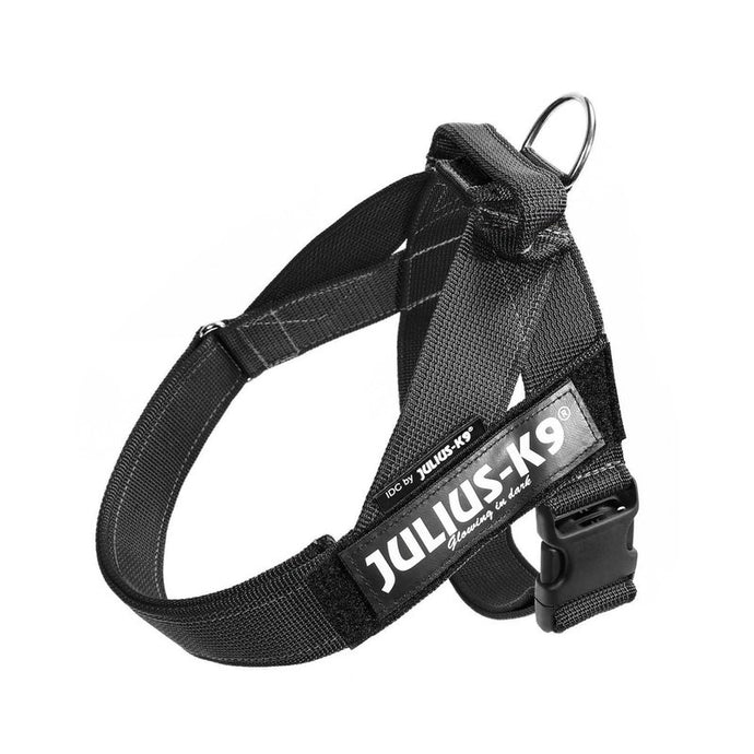 Julius K-9 IDC BELT Harness