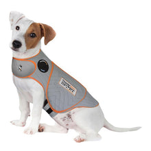 ThunderShirt Sport - Treat Anxiety, Fear & Over Excitement in Style