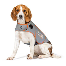 ThunderShirt Sport - Treat Anxiety, Fear & Over Excitement in Style