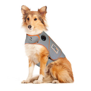 ThunderShirt Sport - Treat Anxiety, Fear & Over Excitement in Style