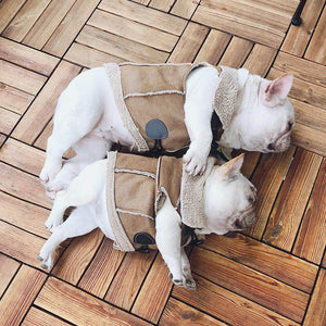 Suede Cashmere Vest for Fashionable Dog
