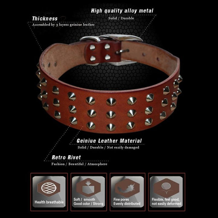 Leather Studded Spike Collars for Small & Medium Dogs – Poochie Moochie Pet  Store West Edmonton