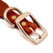 Brown Leather Collar with Rhinestones or Chain Embellishment