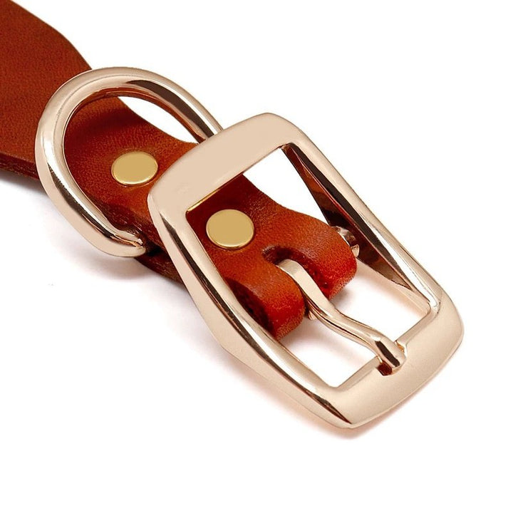 Brown Leather Collar with Rhinestones or Chain Embellishment
