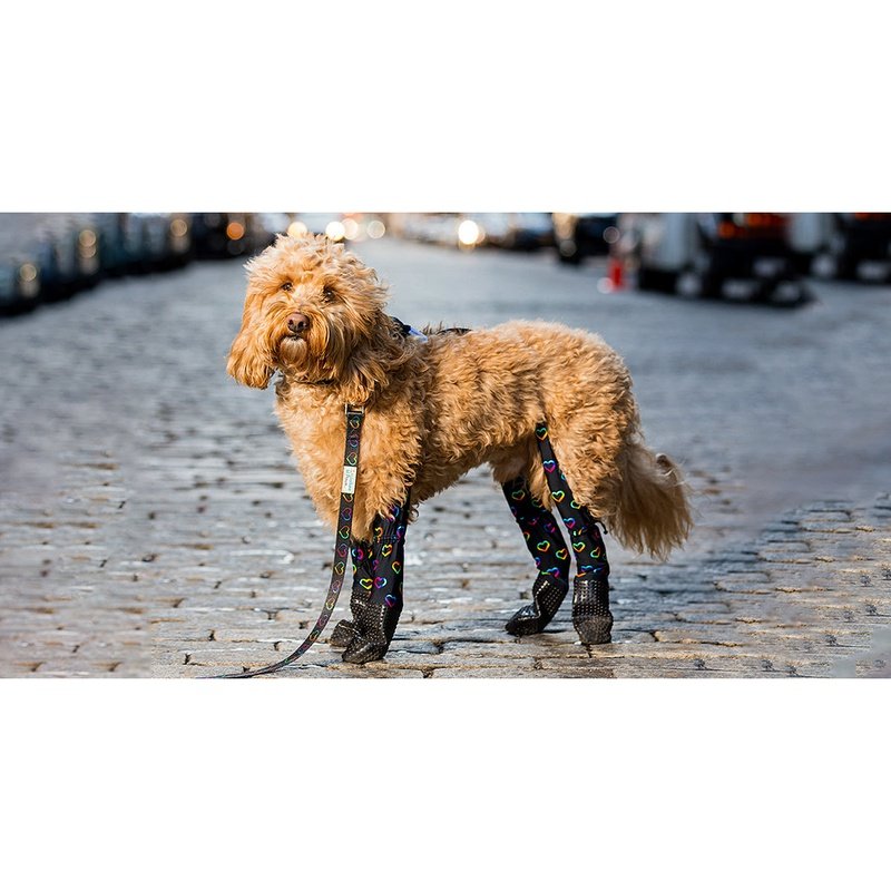 Walkee Paws Dog NEW DELUXE Boot Leggings - 4 sizes, 4 Colors Edmonton, Dog  Boots