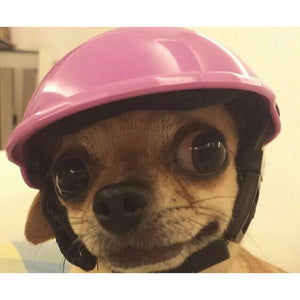 Motorcycle Dog Helmet in Pink