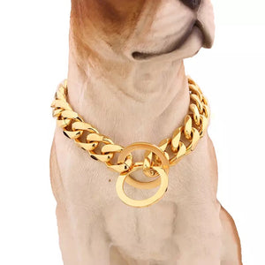Stainless Steel 15mm Dog Chain Collar in Gold or Silver
