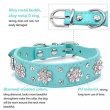 Leather Rhinestone Studded Collars 2.5cm Wide