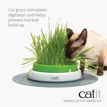 Catit Senses 2.0 Cat Grass 3 sets of seeds