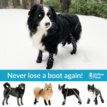 Walkee Paws NEW DELUXE Boot Leggings