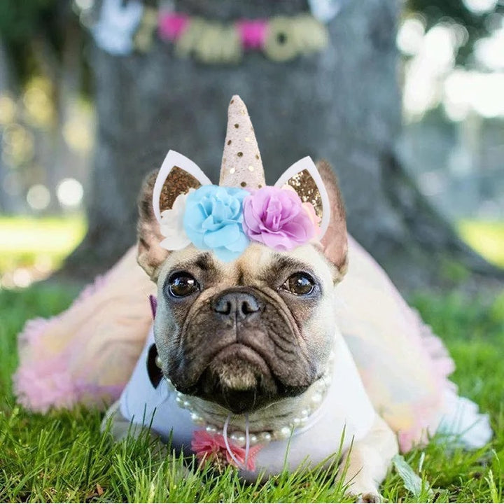 Unicorn Party Hats for your special doggy