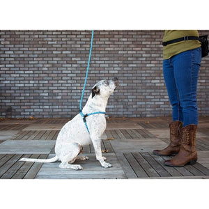 HarnessLead Leash - Gentle 'All in One' for No Pull/No Escape Walking