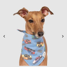 Canada Pooch Bandana Racing Cars
