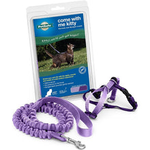 Premier Pet Come With Me Kitty - Harness & Bungee Leash Set - 4 Colors