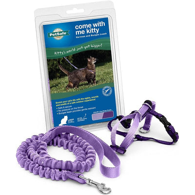 Purple cat harness discount