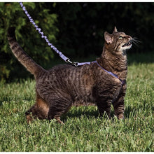 Premier Pet Come With Me Kitty - Harness & Bungee Leash Set - 4 Colors
