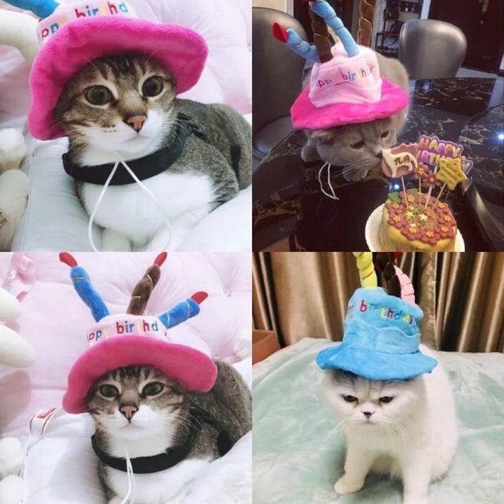 Dress Up Birthday Candle Hat for dogs & cats