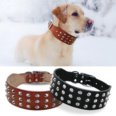 Cool Rivets Studded Collar Genuine Leather XS - L