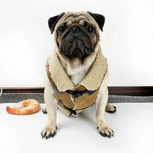 Suede Cashmere Vest for Fashionable Dog