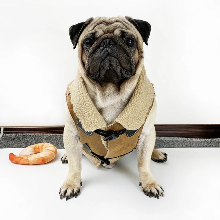Suede Cashmere Vest for Fashionable Dog