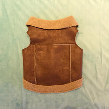 Suede Cashmere Vest for Fashionable Dog