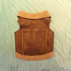 Suede Cashmere Vest for Fashionable Dog